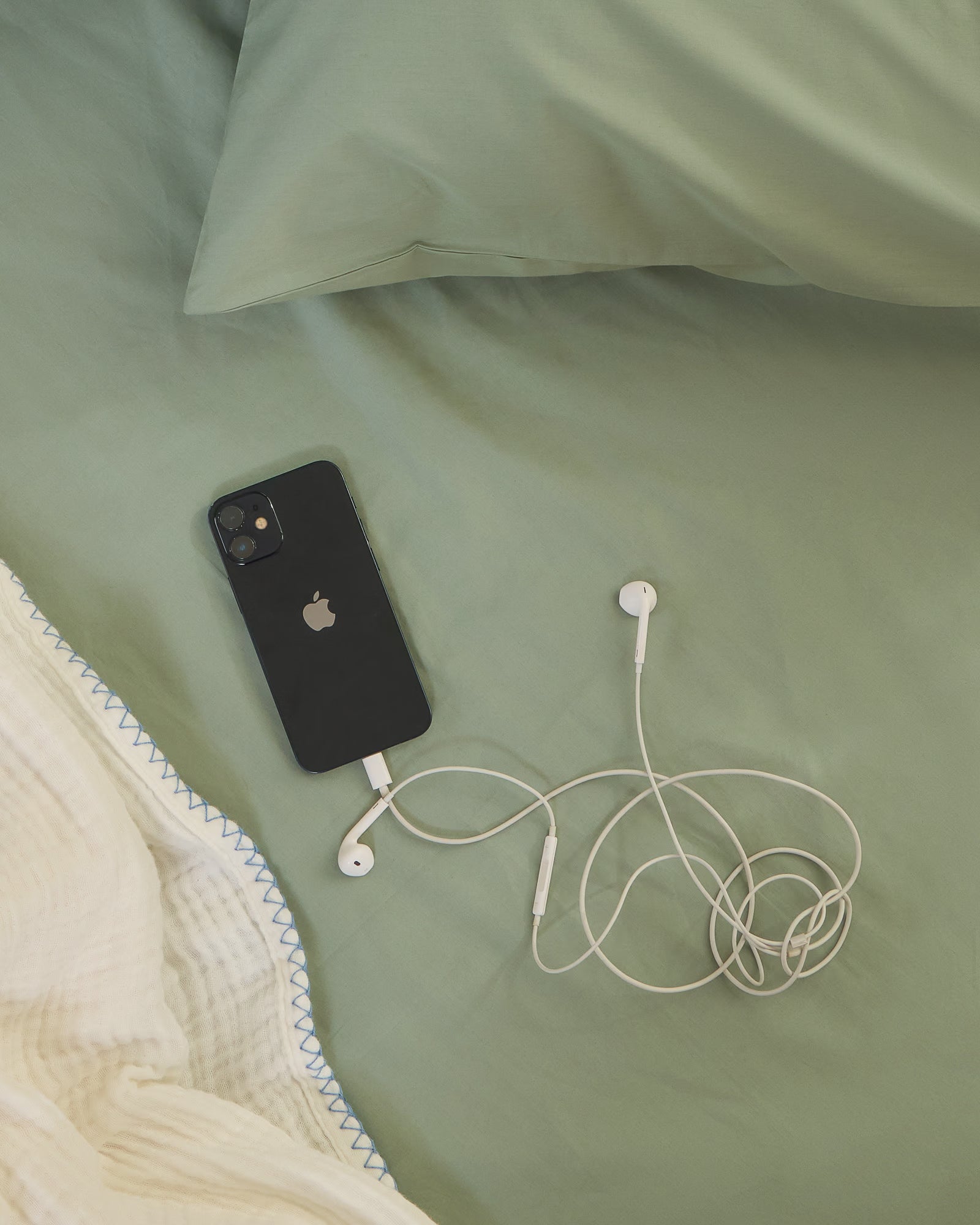 #Color_Sage Green