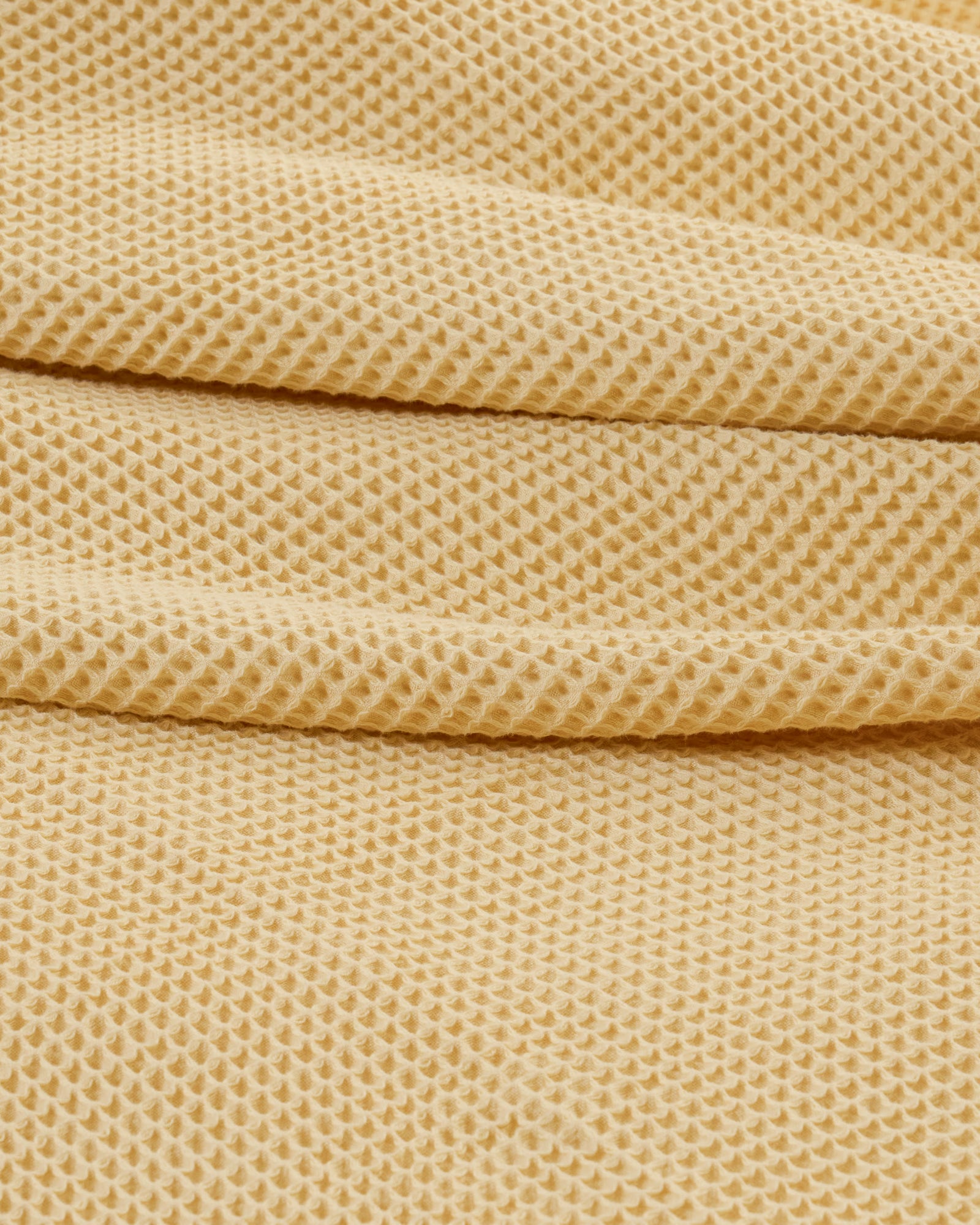 #Color_Butter Yellow