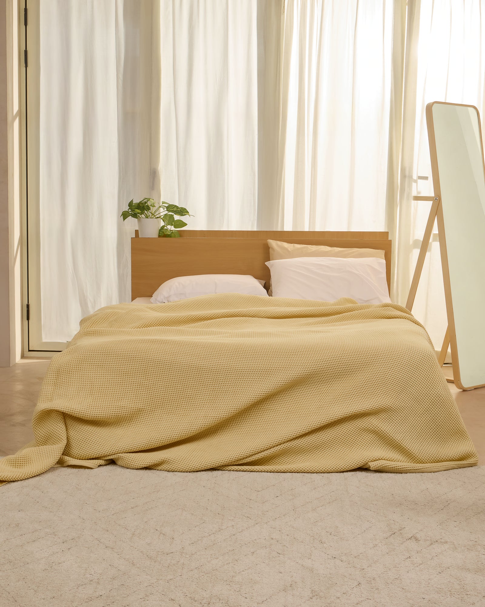 #Color_Butter Yellow