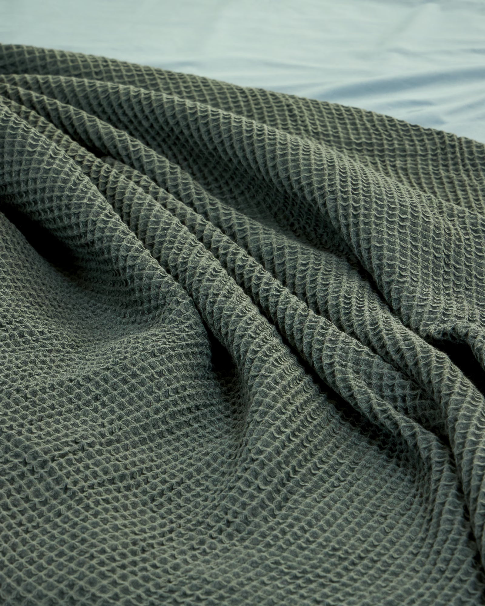 #Color_Dark Green